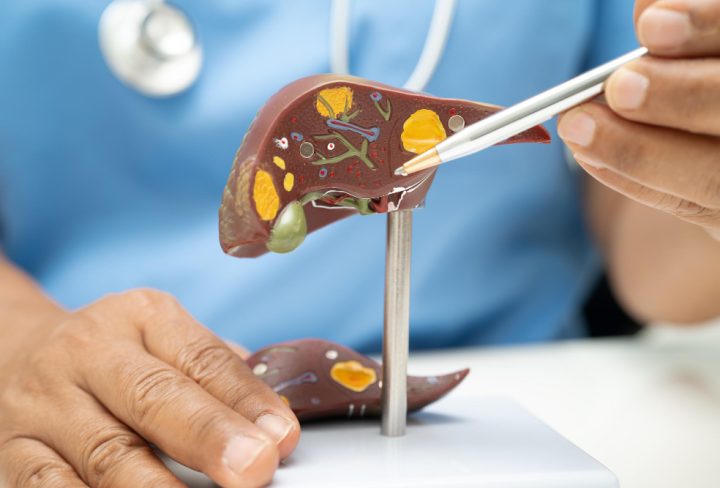 EN-B-IMFM-CN1-V113_20260205_152711_v1